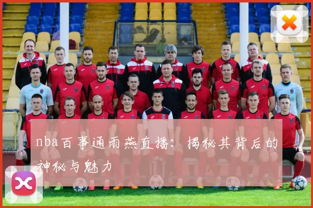 nba百事通雨燕直播：揭秘其背后的神秘与魅力