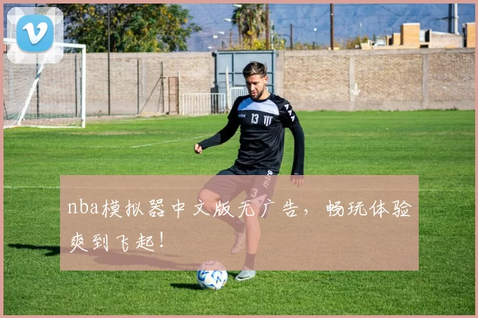 nba模拟器中文版无广告,畅玩体验爽到飞起!