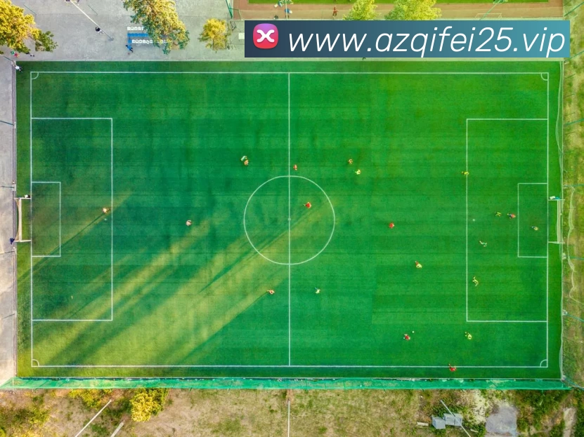 多媒体互动体验